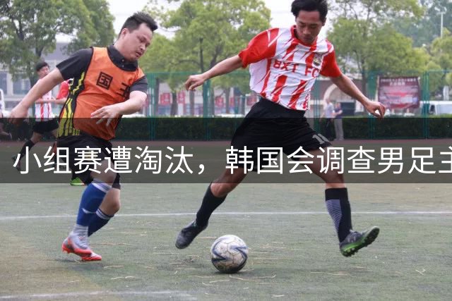小组赛遭淘汰，韩国会调查男足主教练任命程序及足协管理等问题，讨论如何使其正常化