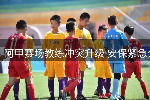 阿甲赛场教练冲突升级 安保紧急介入平息事态